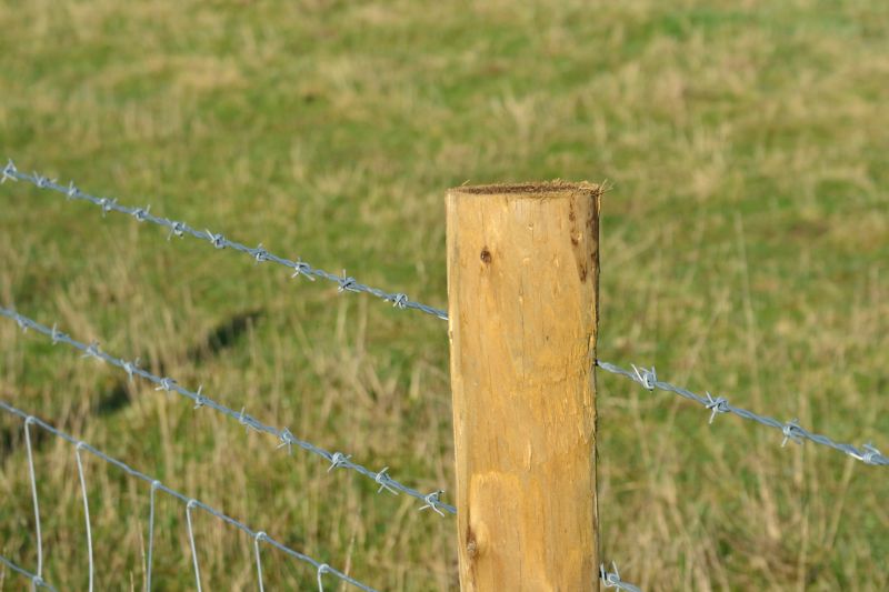 Barbed Wire Fencing