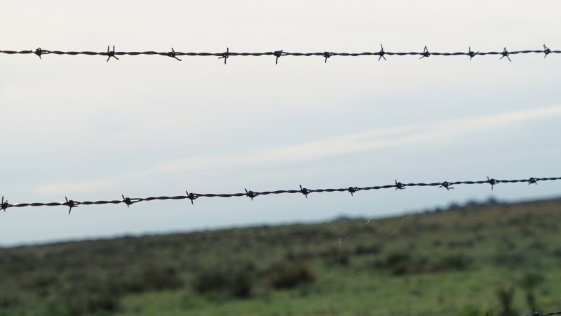 Barbed Wire Fencing detail