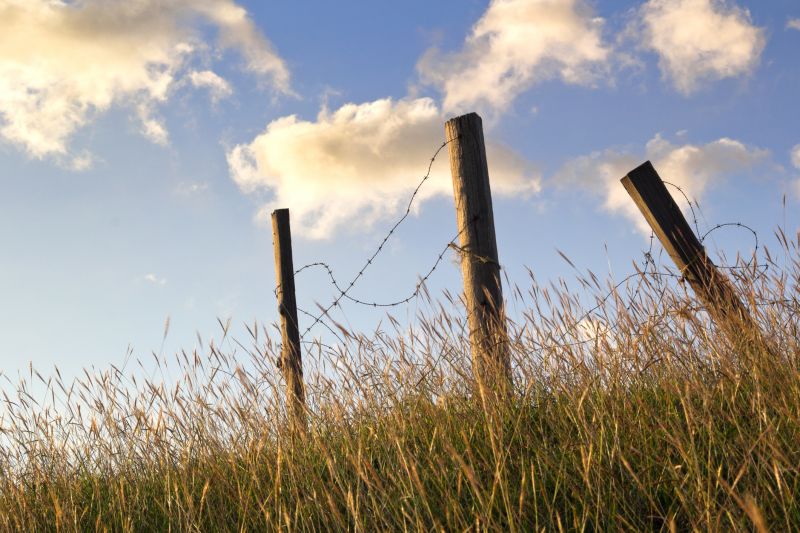 Barbed Wire Fencing detail