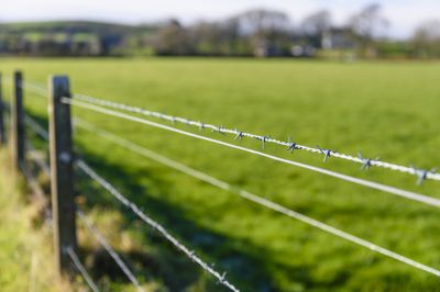Barbed Wire Fencing detail